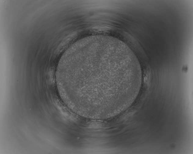 X0000114660819200911101341