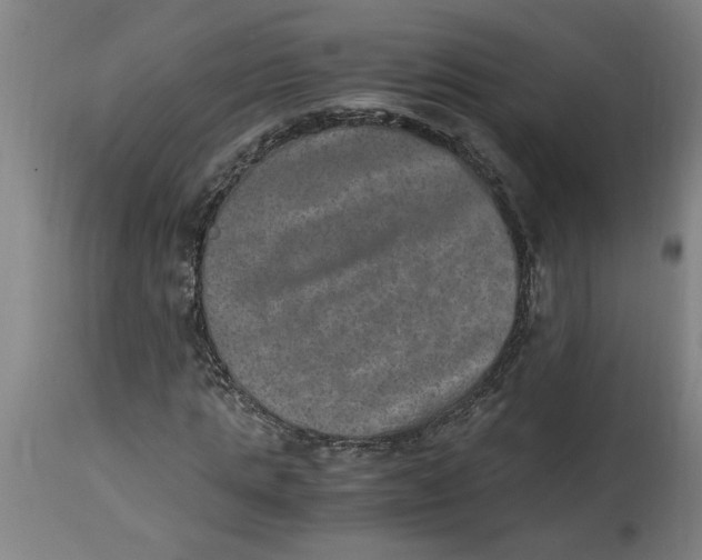 X0000114660821200911101341