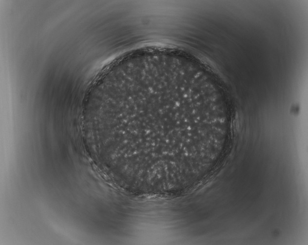 X0000114660822200911101341