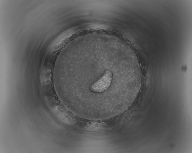 X0000114660824200911101341