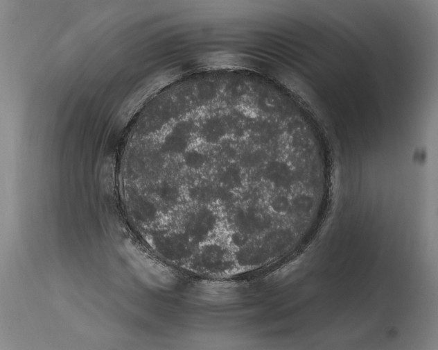 X0000114660825200911101341