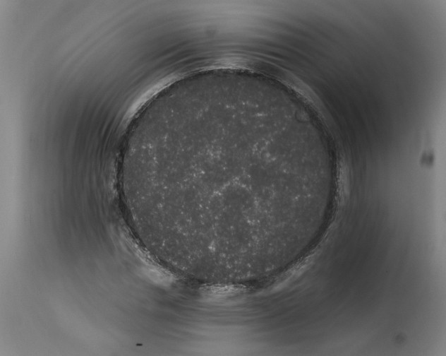 X0000114660826200911101341