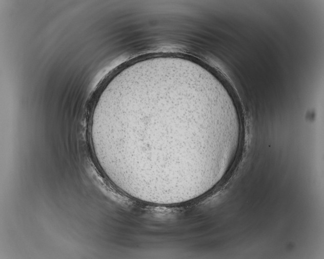 X0000114660827200911101341