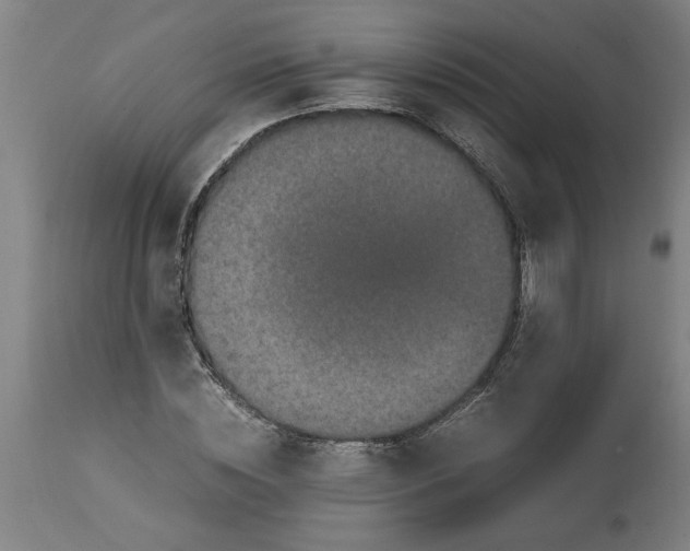 X0000114660828200911101341