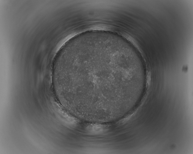 X0000114660829200911101341