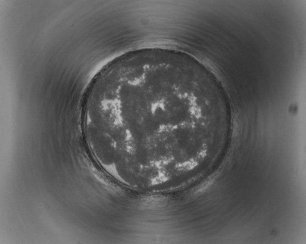 X0000114660830200911101341