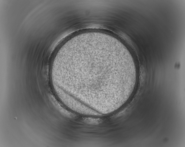 X0000114660831200911101341