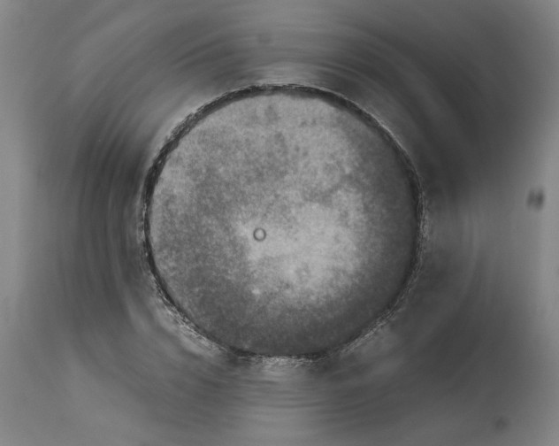 X0000114660832200911101341