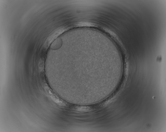 X0000114660833200911101341