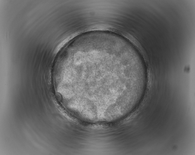 X0000114660834200911101341