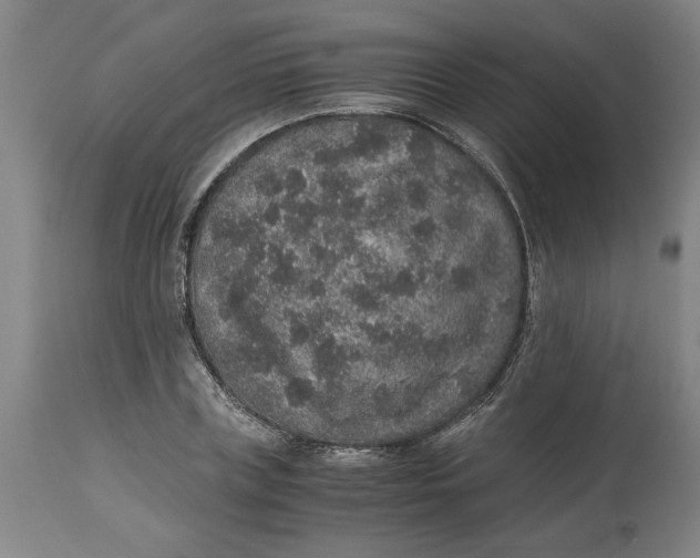 X0000114660835200911101341