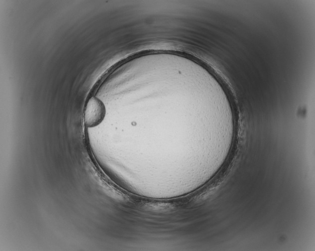 X0000114660837200911101341