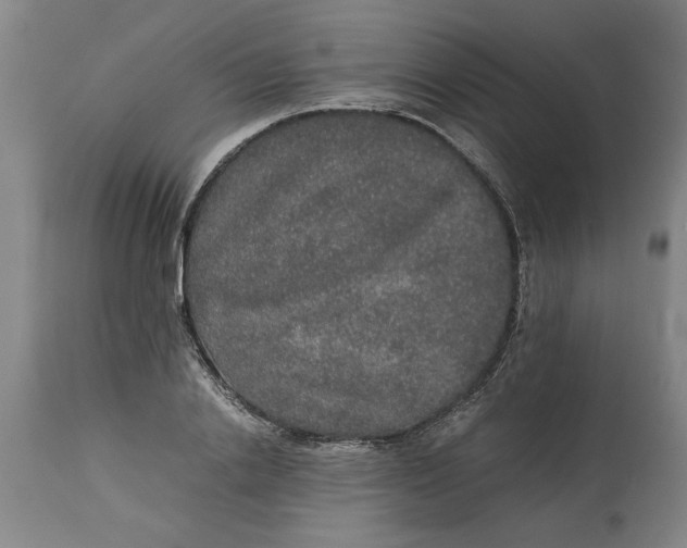 X0000114660838200911101341