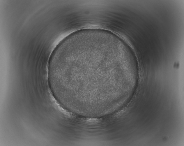 X0000114660839200911101341