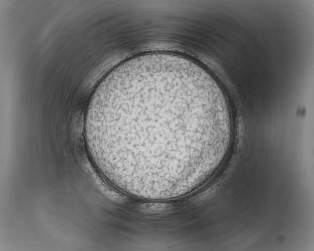 X0000114660841200911101341