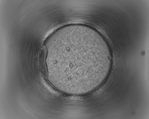 X0000114660842200911101341