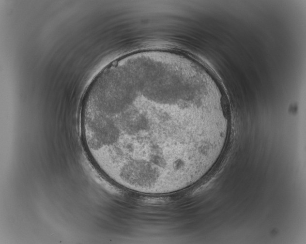 X0000114660843200911101341