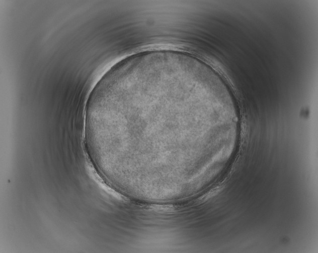 X0000114660844200911101341