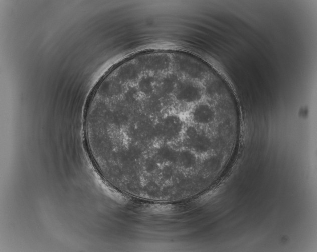 X0000114660845200911101341