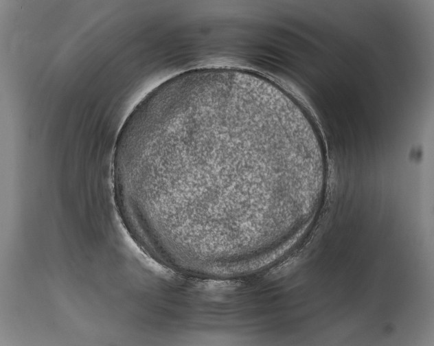 X0000114660847200911101341