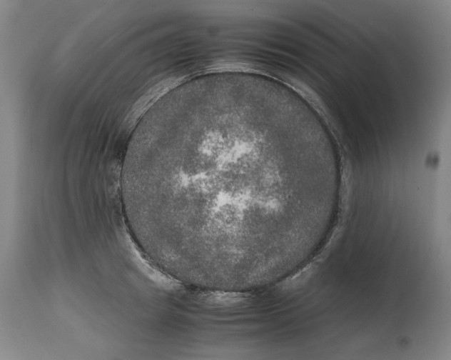 X0000114660849200911101341