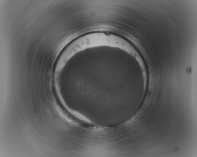 X0000114660850200911101341