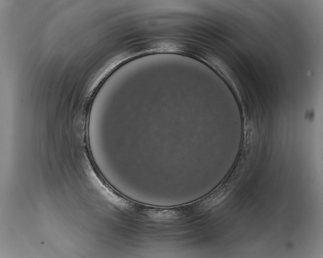 X0000114660851200911101341