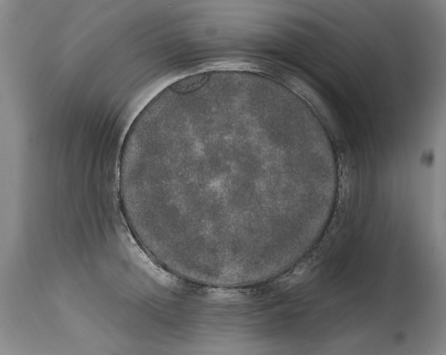 X0000114660852200911101341