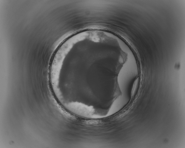 X0000114660853200911101341