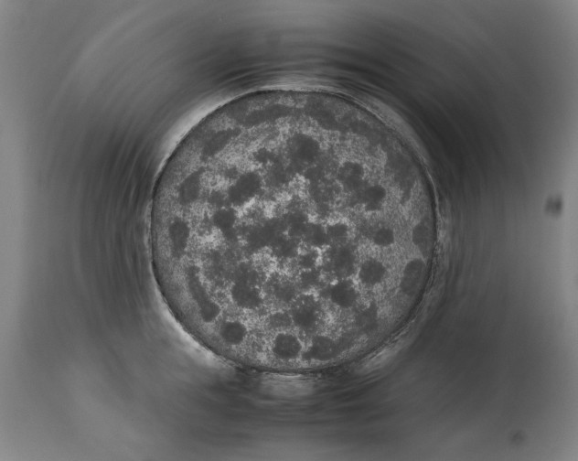 X0000114660855200911101341