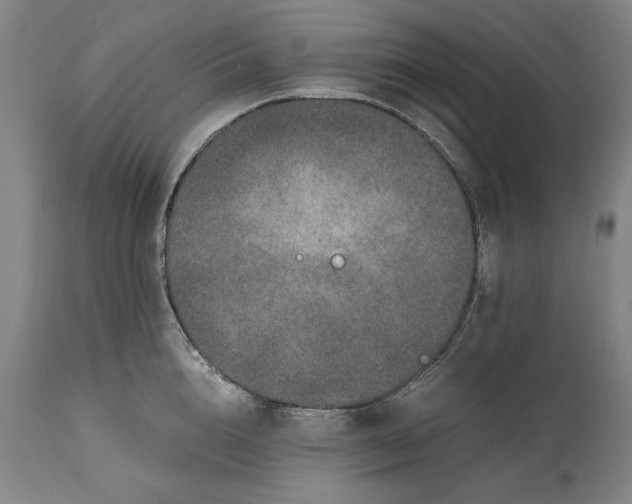 X0000114660856200911101341