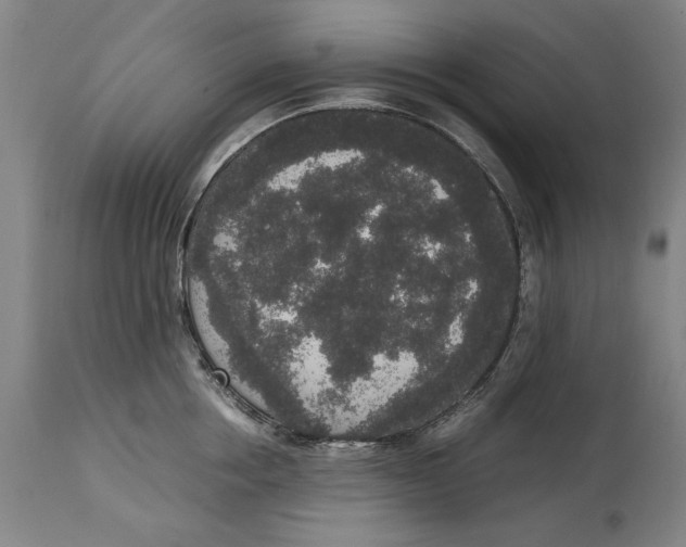 X0000114660858200911101341