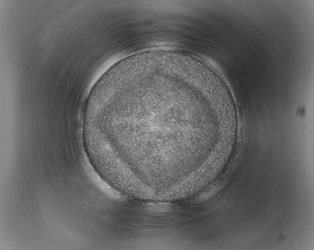 X0000114660859200911101341