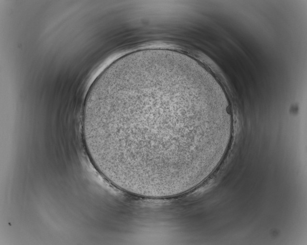 X0000114660860200911101341