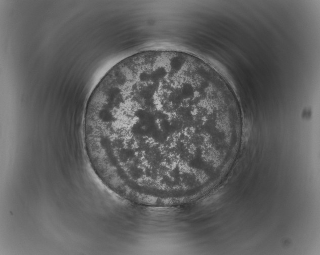 X0000114660863200911101341