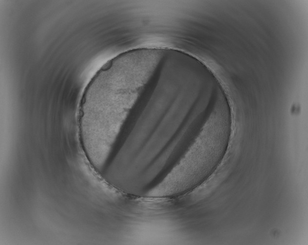 X0000114660864200911101341