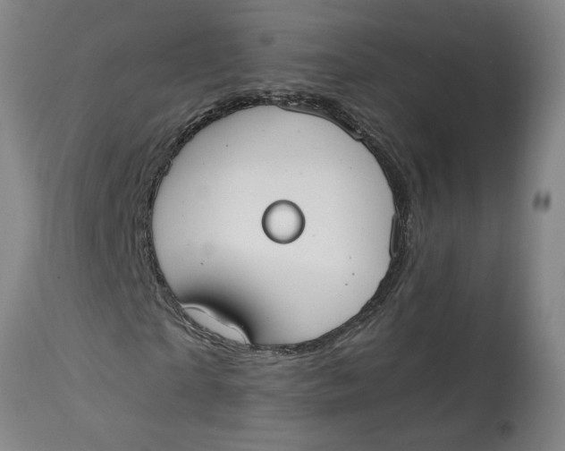 X0000114660865200911101340