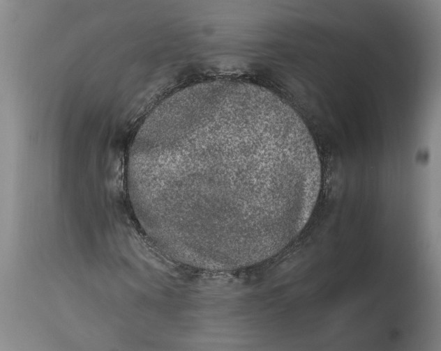 X0000114660866200911101340