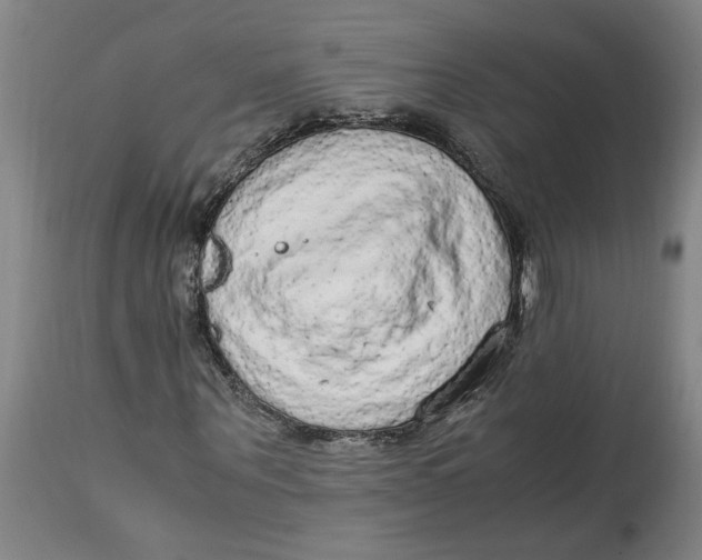 X0000114660867200911101340