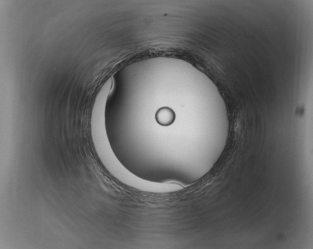 X0000114660868200911101340