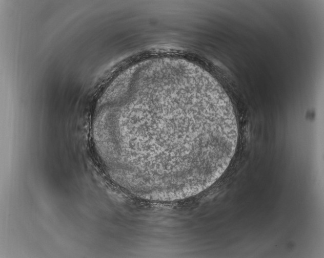 X0000114660870200911101340