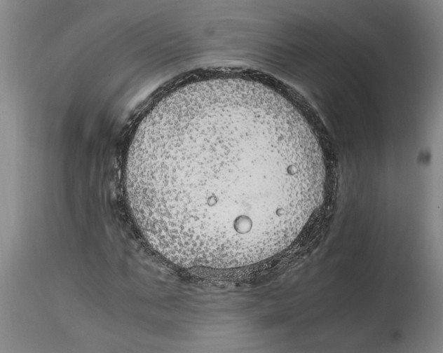 X0000114660871200911101340