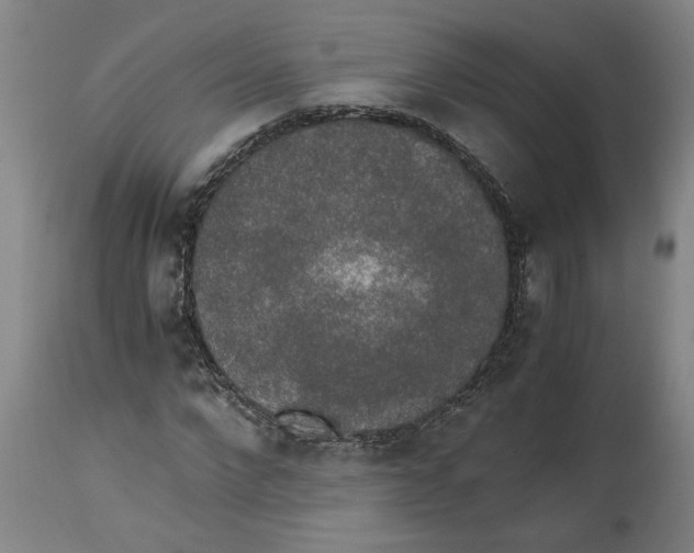 X0000114660872200911101340