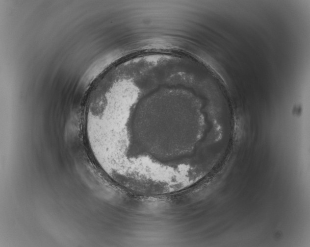 X0000114660874200911101340