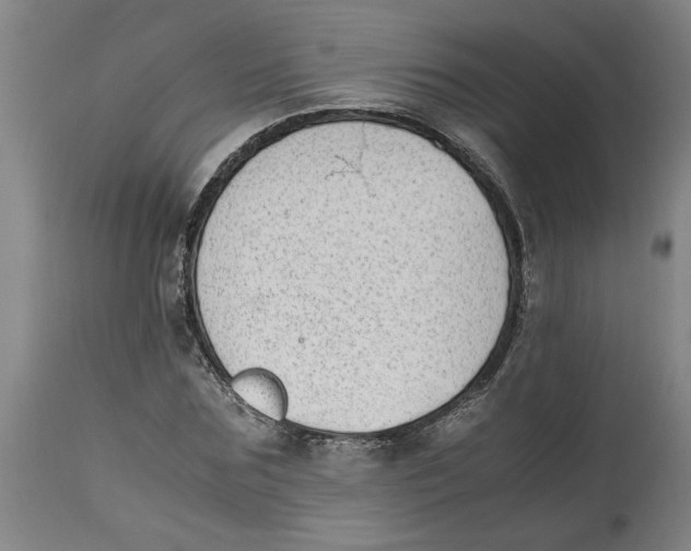 X0000114660875200911101340