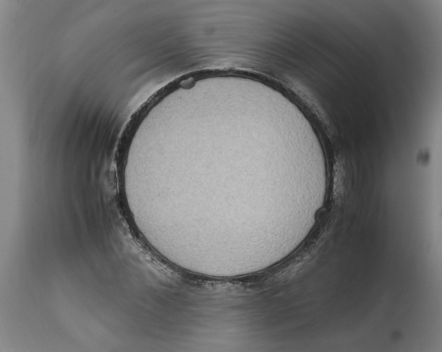 X0000114660876200911101340