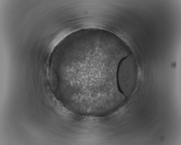 X0000114660877200911101340