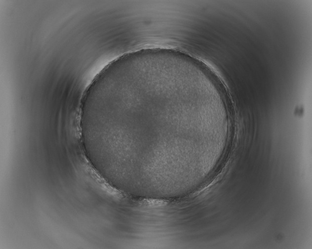 X0000114660878200911101340