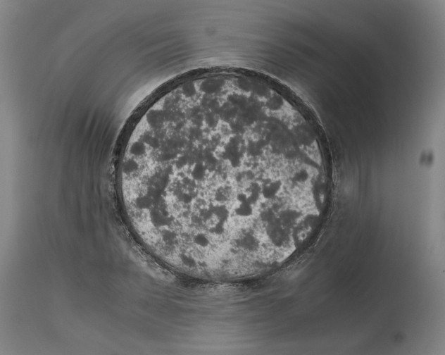 X0000114660879200911101340