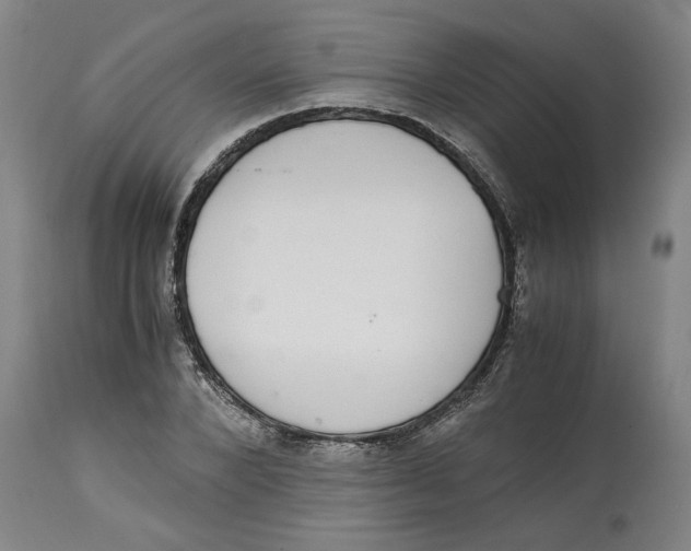 X0000114660880200911101340